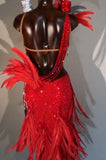Sexy, Red Feather Rhythm Or Latin Ballroom Dance Dress