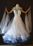 Sweetheart Bodice w/Mesh Sleeves International Standard Ballroom Dance Dress