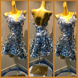 Shimmering Paillettes Full Skirt Rhythm Ballroom Dance Dress